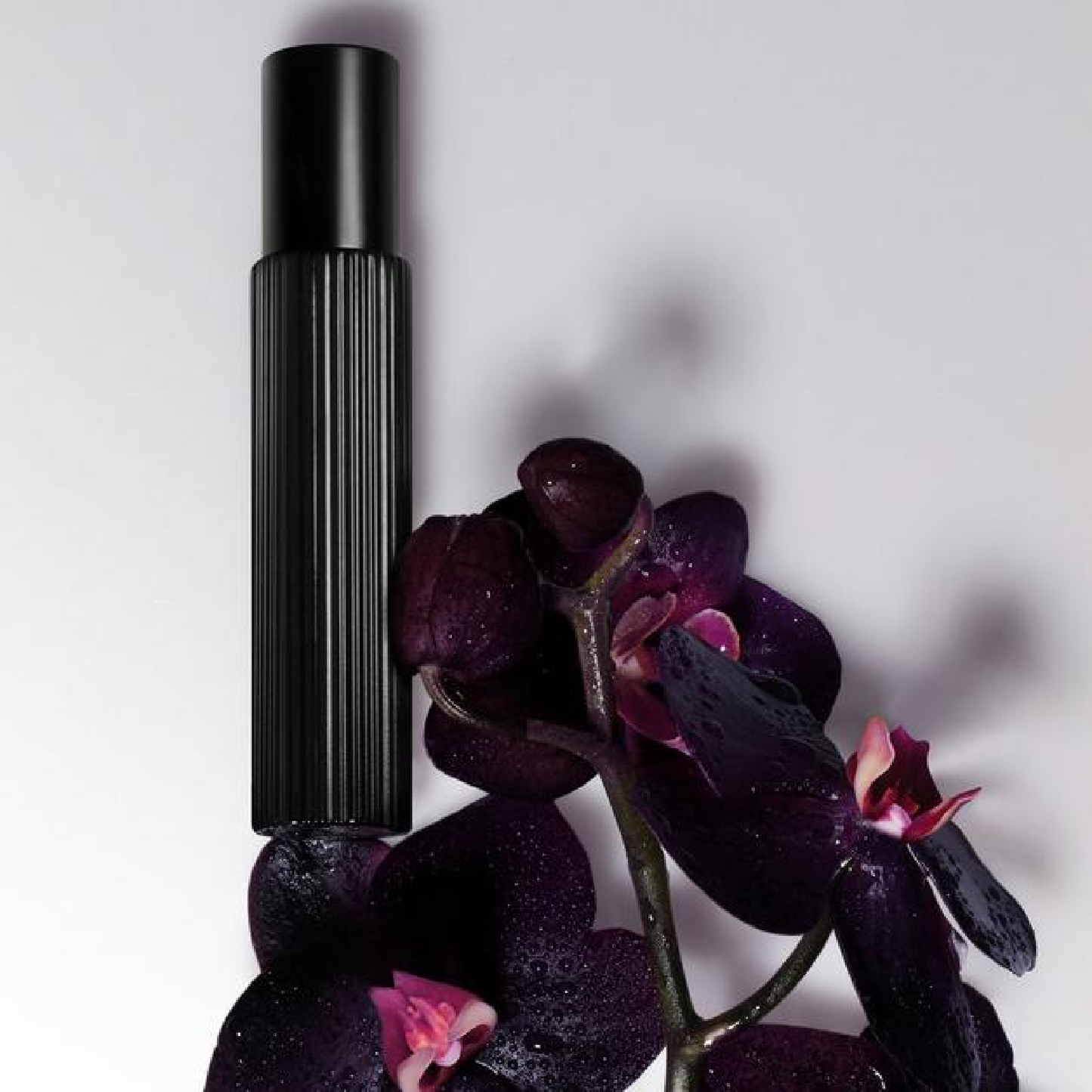 Tom Ford Black Orchid Eau de Parfum for Women
