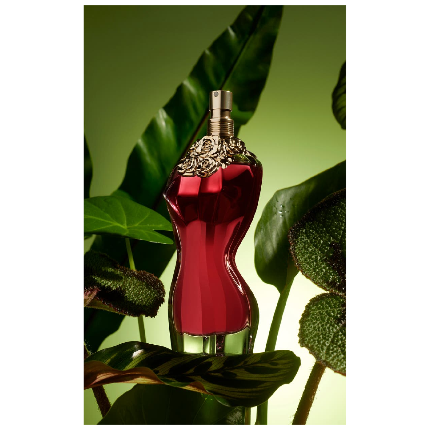 Jean Paul Gaultier La Belle Eau de Parfum for Women