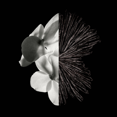 Givenchy Gentleman Eau de Parfum for Men