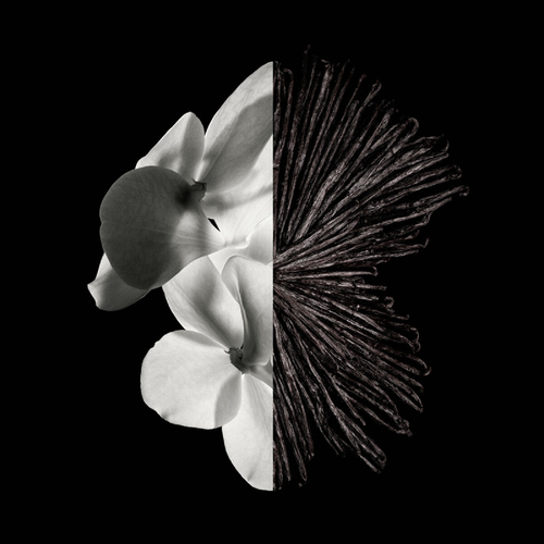 Givenchy Gentleman Eau de Parfum for Men