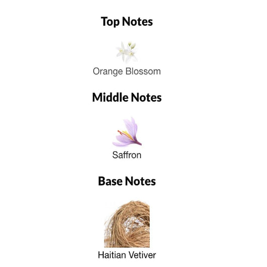 Tom Ford Grey Vetiver Parfum for Men