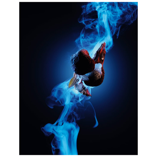 Carolina Herrera Bad Boy Cobalt Elixir Eau de Parfum for Men